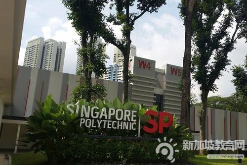 出于就业考量，越来越多的O-level学校毕业生选择了理工学院