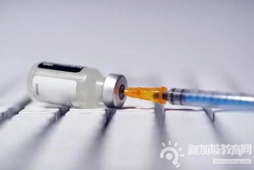 新加坡高警戒解封第二阶段冠病检测的需求暴涨，实验室使用率超过八成