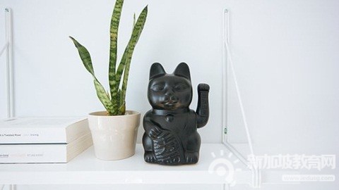 新加坡小一入学第一阶段结束，仅7所小学招收名额过半！