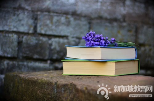 驻新加坡使馆调整赴华签证申请要求！