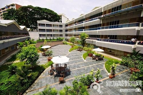新加坡留学接受托福的成绩吗？