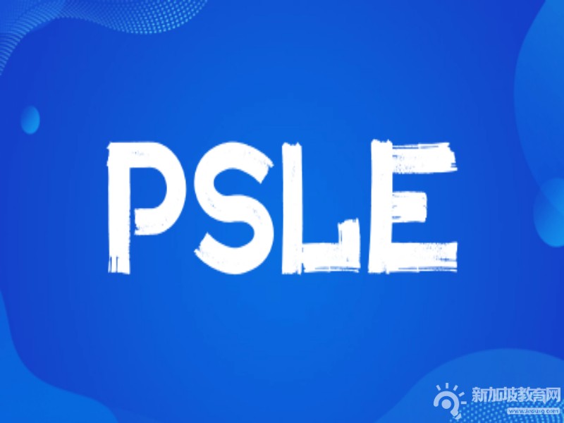 新加坡小六会考深度剖析：为何其竞争激烈度直追高考？