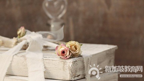 新加坡2022年12月份多个专业截止申请！