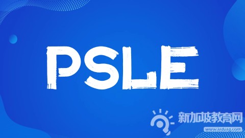2025年新加坡PSLE考后升学规划总结