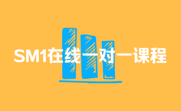 SM1在线一对一课程