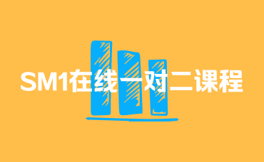 SM1在线一对二课程