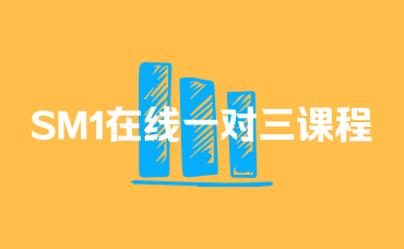 SM1在线一对三课程