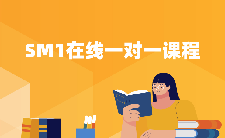 SM1在线一对一课程