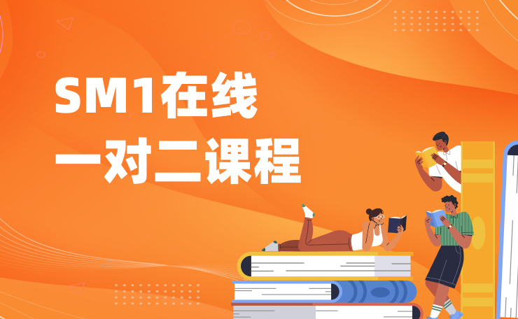 SM1在线一对二课程