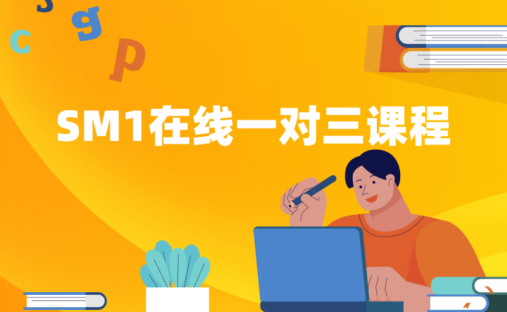 SM1在线一对三课程