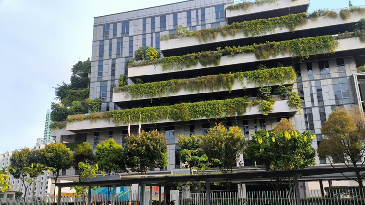 多图来袭！带你直击2026年S-AEIS考试首日现场