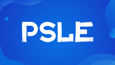 家长必读：PSLE考试备考全攻略，助力孩子腾飞