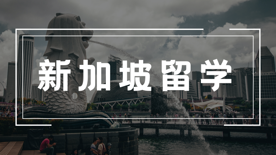 2026学国际商务管理有什么优势？新加坡TMC学院专业前景解析