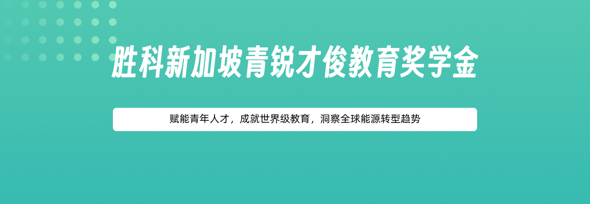 胜科新加坡青锐才俊